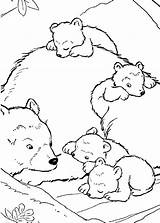 Bear Colorare Coloring Disegni Orso Orsi Orsetti Pianetabambini Altri sketch template
