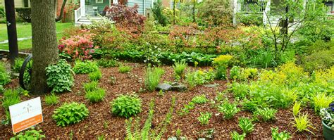 certified green landscaping companies  green montgomery