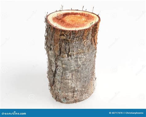 sawn log  stock illustration illustration  white