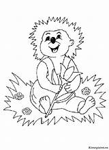 Igel Egel Kleurplaten Egels Malvorlagen Dieren Ausmalbilder Malvorlage Arici Erizo Colorat Herisson Ricci Ausmalbild Kleurplatenwereld Foret Imagini Igeln Coloriage Animierte sketch template