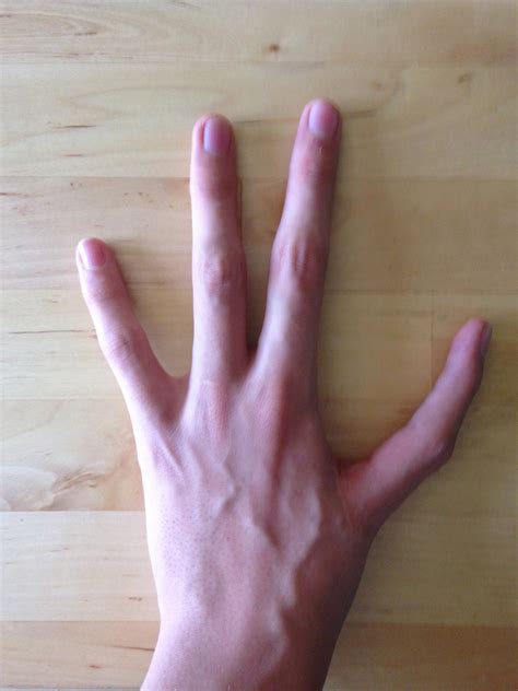 fingers   left hand    index finger    thumb