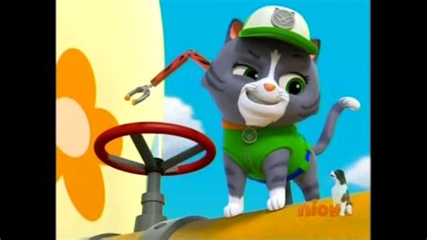 Cat Rocky Gallery Paw Patrol Wiki Fandom Powered By Wikia