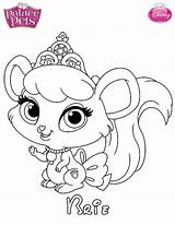 Brie Mascota Dibujalandia Whisker Mascotas Skgaleana Ausmalbilder Galery Pintar sketch template