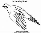 Turtle Dove Doves Two Coloring Getdrawings Drawing sketch template