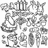 Animali Allevamento Fumetto Granja Vegetables Illustration Dibujar Malbuch Verduras Hare Children Umore Campanella Colorazione Livestock Vieh sketch template