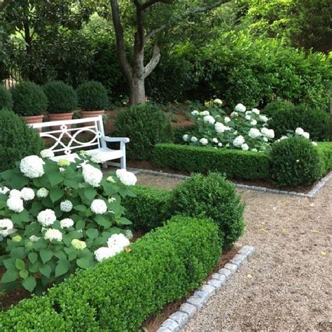 Fabulous Boxwood Landscaping Ideas 33 24 Moltoon In 2020 Formal