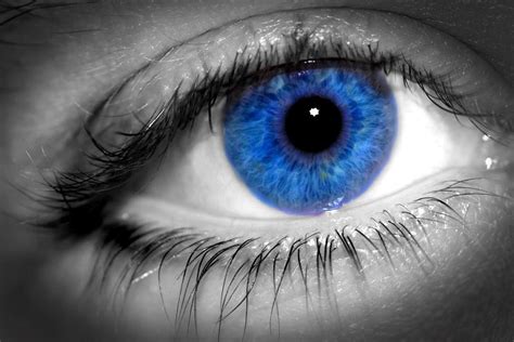 blue eye healthy  information