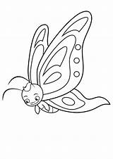 Mariposa Para Dibujo Colorear Dibujos sketch template