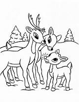 Reindeer Coloring Pages Cartoon Rudolph Getdrawings sketch template