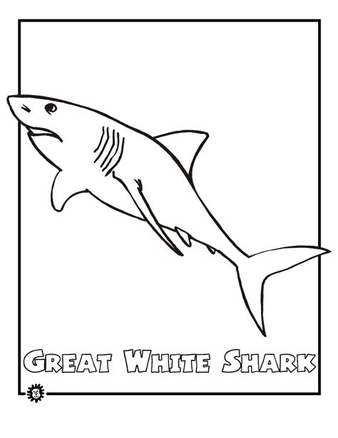 great white shark coloring page animals town animals color sheet