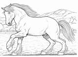 Clydesdale Unicorn sketch template