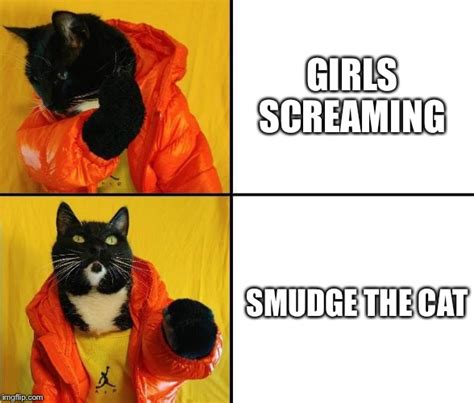 kitty drake likes smudge imgflip