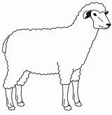 Sheep Kids Outline Clipart Coloring Animals Library Farm sketch template
