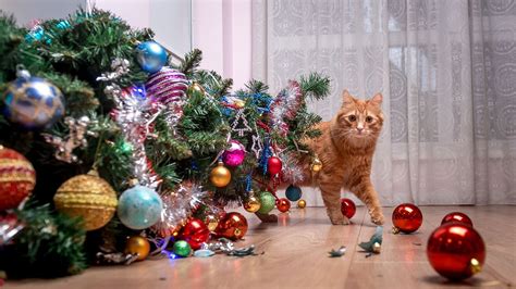 watch what happens after cat knocks down christmas tree