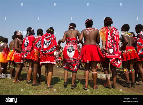 zulu reed dance im enyokeni palace nongoma südafrika stockfotografie