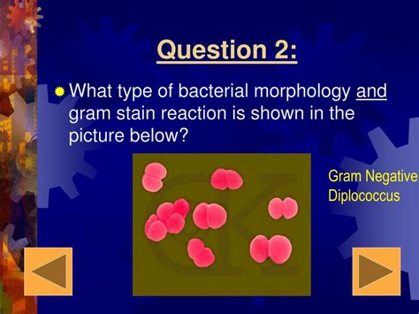 Ppt Microbiology Quiz Questions Powerpoint Presentation Free