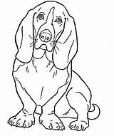 Coloring Clifford Dog Big Clipart Sheets Red Library Hound Basset Printable sketch template