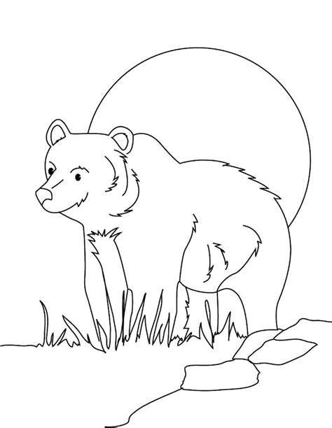 smiling grizzly bear coloring page  print  color