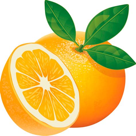 apelsin clipart gudang gambar vector png