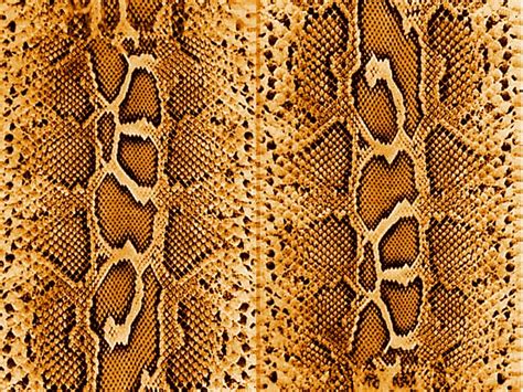 snake skin  mildak  deviantart