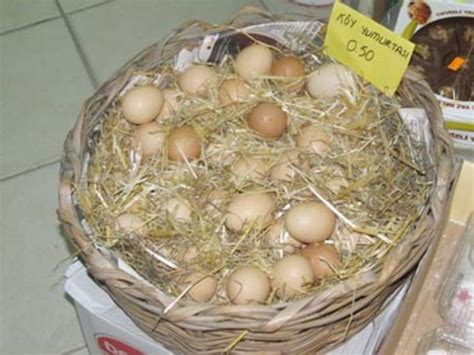 rueyada yumurta satmak ruyandagorcom