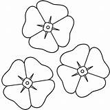 Poppy Outline Template Flower Printable Clip Clipart sketch template