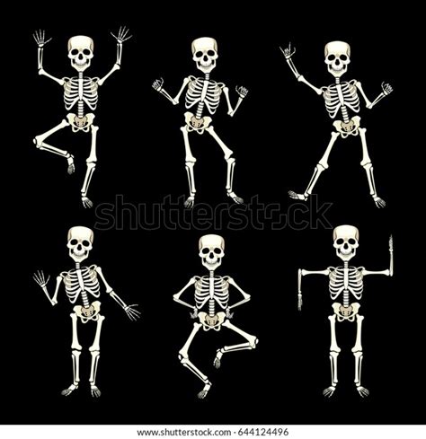 Vector Image Set Funny Dancing Skeletons Stock Vector Royalty Free