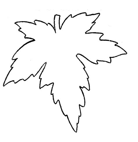 leaf outline template clipart