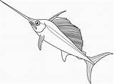 Swordfish Fish Poisson Espadon Compartilhe Gostou sketch template