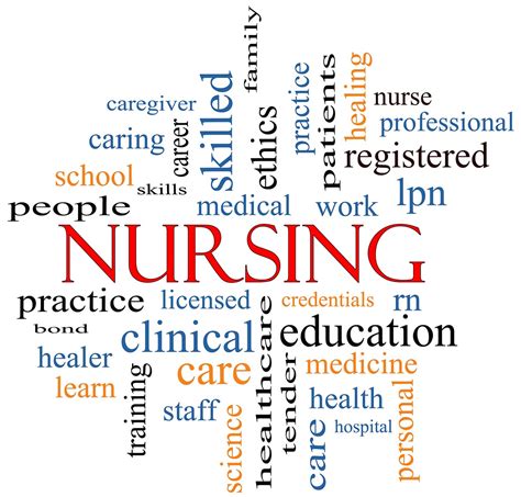 organization professional nurses association pna  south