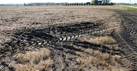 soil compaction impacts fertilizer decisions