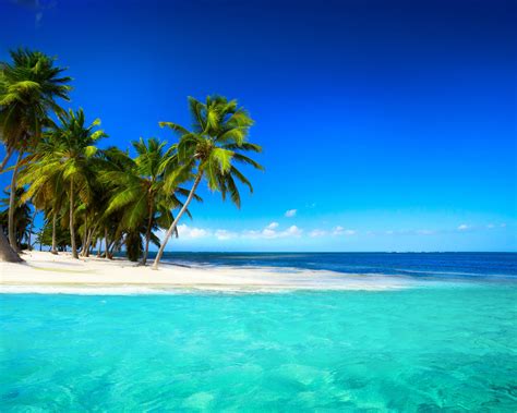 Tropical Island Beach Wallpaper