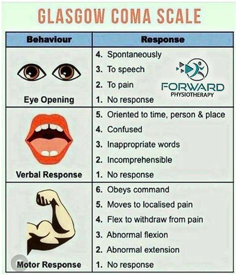glasgow coma scale gcs   physiotherapy facebook