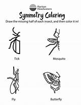 Symmetry Insect Coloring sketch template