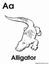 Coloring Alligator Letter Alphabet Sherriallen Pages Phonics sketch template