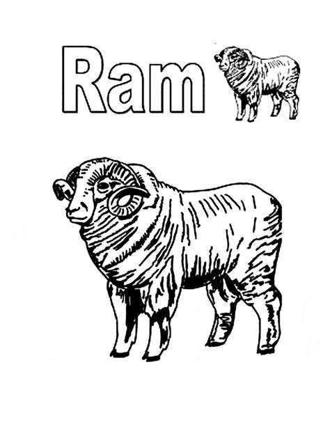 ram coloring page animals town  ram color sheet