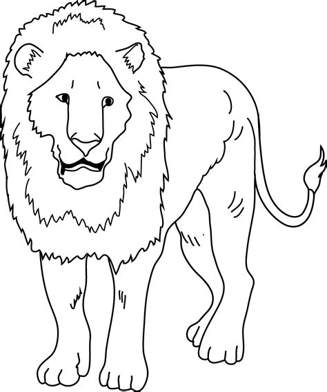 lion coloring page  clip art