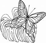 Farfalle Papillons Lescoloriages Coloriages Coloratutto sketch template