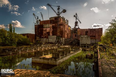 chernobyl researchers discover abundant populations  wildlife