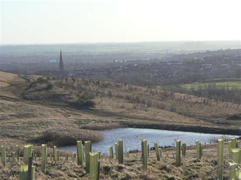 gedling colliery spoil tip  alan murray rust geograph britain  ireland