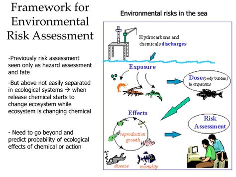 environmental risk assessment powerpoint