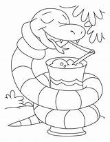 Coloring Snakes Anaconda Preschoolers Tulamama sketch template