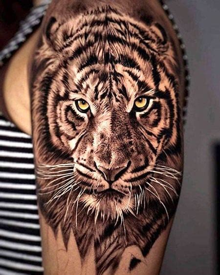 Discover 94 About Tiger Shoulder Tattoo Latest In Daotaonec