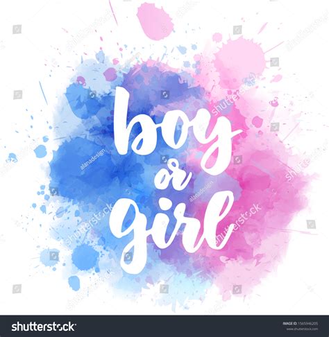 boy girl gender reveal illustration inspirational image vectorielle