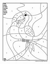 Preschool Toucan Rainforest Woo Woojr sketch template