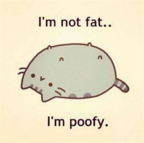 Fat Cat Meme Funny Fat Cat Pictures With Quotes