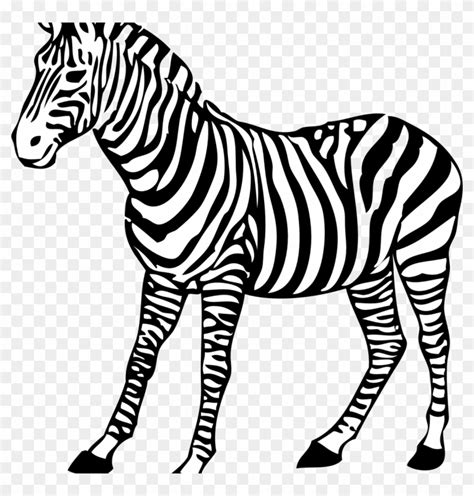 clipart zebra colouring page clipart zebra colouring page transparent