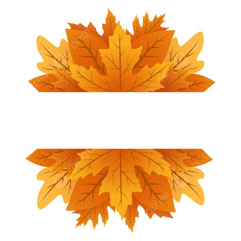 autumn leaf border  gradation color vector frames autumn leaves