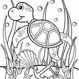 Coloring Turtle Pages Sea Printable Kids Sheets Ocean Animal Uniquecoloringpages sketch template