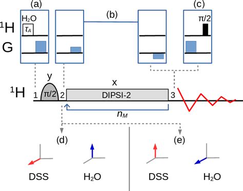 selective tocsy sequence  magnetization   nuclear spin species